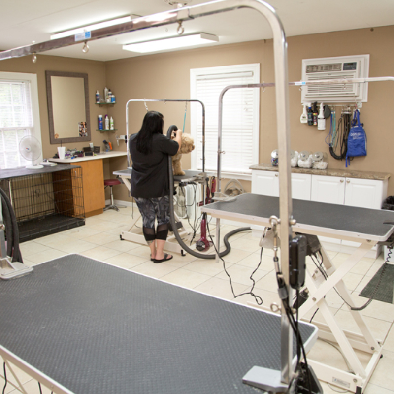 Dog Grooming The Doggie Depot